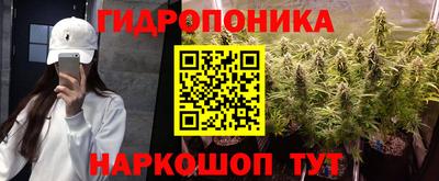 трава Кимры