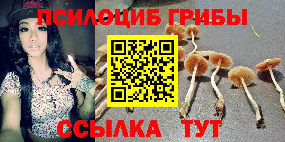 Галлюциногенные грибы ЛСД Энгельс