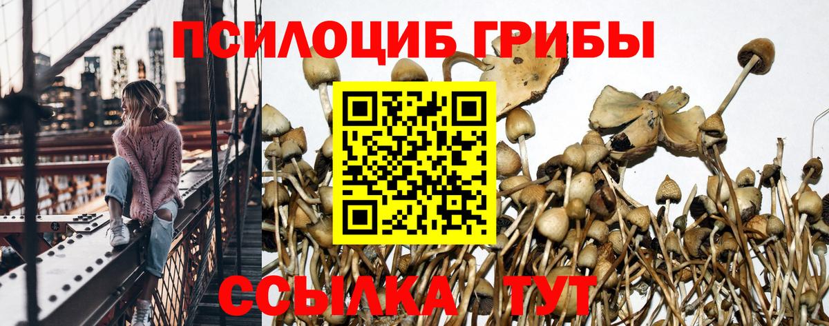 Псилоцибиновые грибы GOLDEN TEACHER  наркота  Энгельс  Вход с VPN 